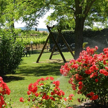 Agriturismo Fusini Magliano in Toscana Extérieur photo