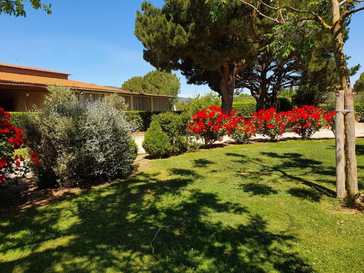 Agriturismo Fusini Magliano in Toscana Extérieur photo