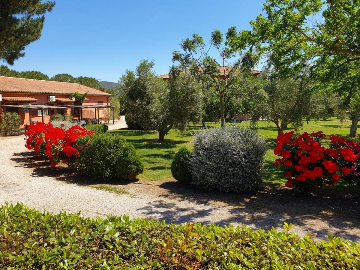 Agriturismo Fusini Magliano in Toscana Extérieur photo