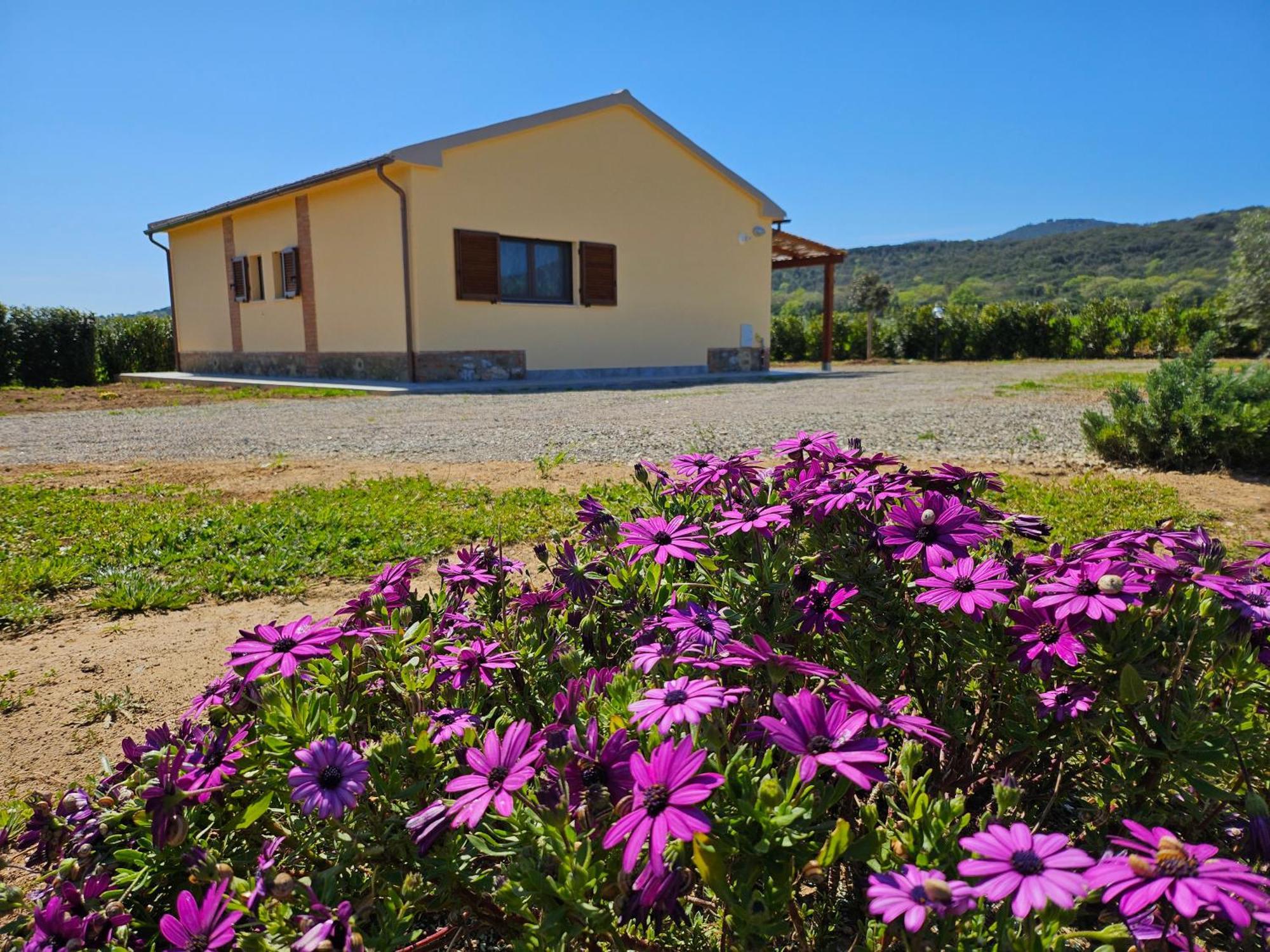 Agriturismo Fusini Magliano in Toscana Extérieur photo