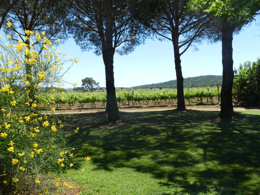 Agriturismo Fusini Magliano in Toscana Extérieur photo