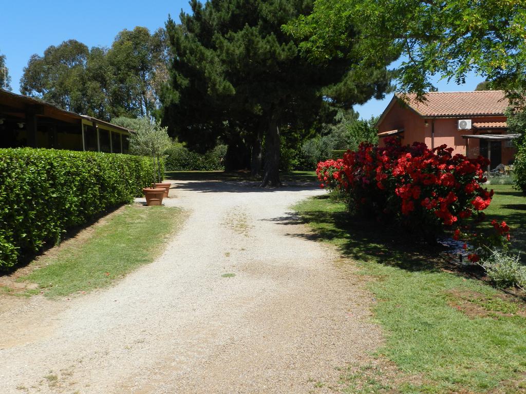 Agriturismo Fusini Magliano in Toscana Extérieur photo