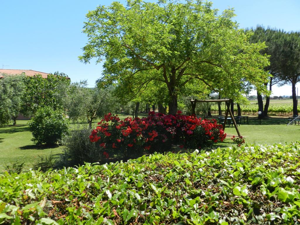 Agriturismo Fusini Magliano in Toscana Extérieur photo