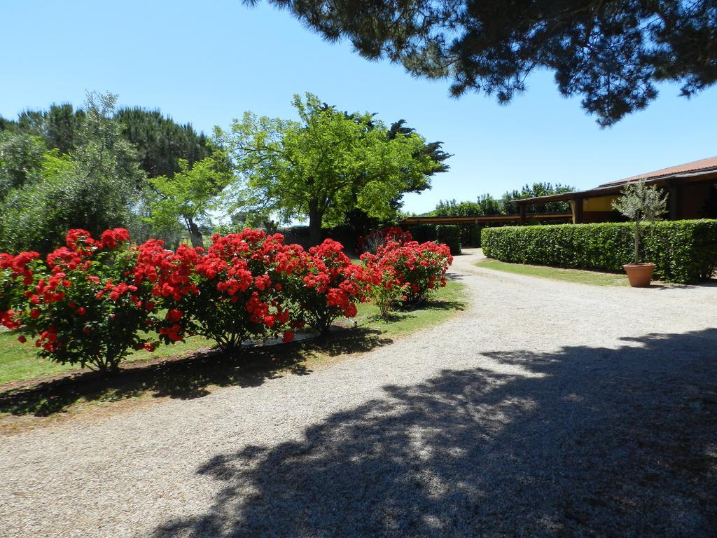 Agriturismo Fusini Magliano in Toscana Extérieur photo