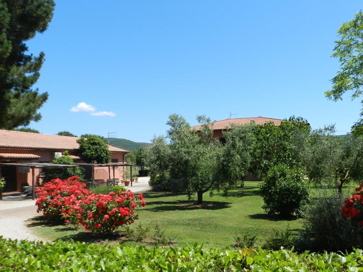 Agriturismo Fusini Magliano in Toscana Extérieur photo